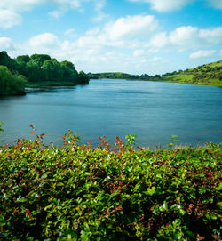 Loch Gur