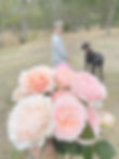 IMG_7454_edited.jpg