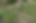 Screen Shot 2025-04-19 at 10.53.57 AM.png