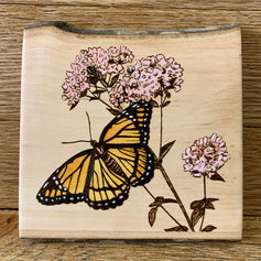 butterfly pyrography, marjoram herb, beech wood slice