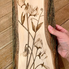 Sweet peas, pyrography, wood burning, 