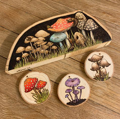 fungi pyrography, watercolour painting, wood slices