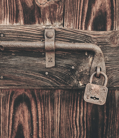 cristina-gottardi-maaWpQVgi00-unsplash_e