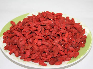 goji berry o que é