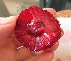 frutas exóticas vermelhas