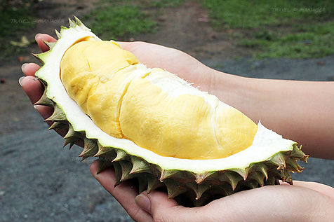 fruta fedida