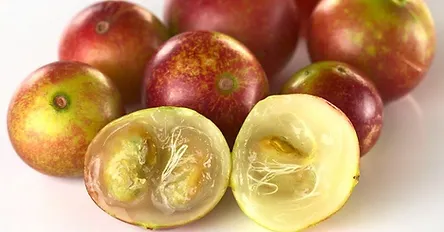 camu camu fruta