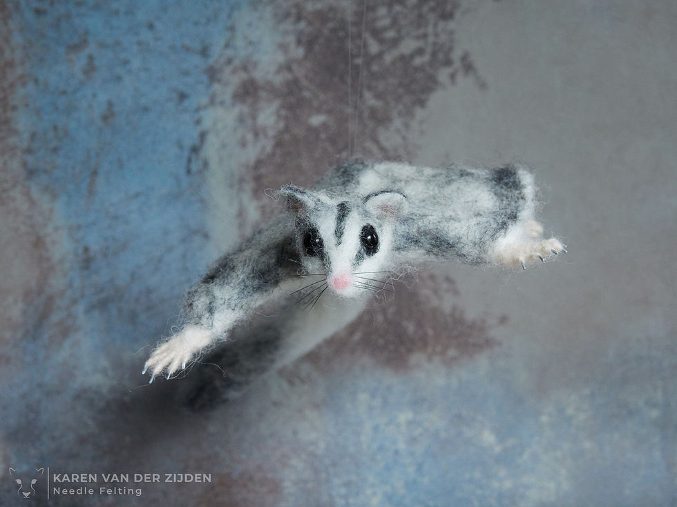 Sugar glider