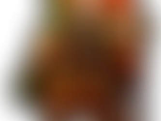 Rouzig, notre mascotte : Le gardien de vos murs et le passeur de vos histoires.