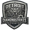 DDS Shield - no background logo.jpg