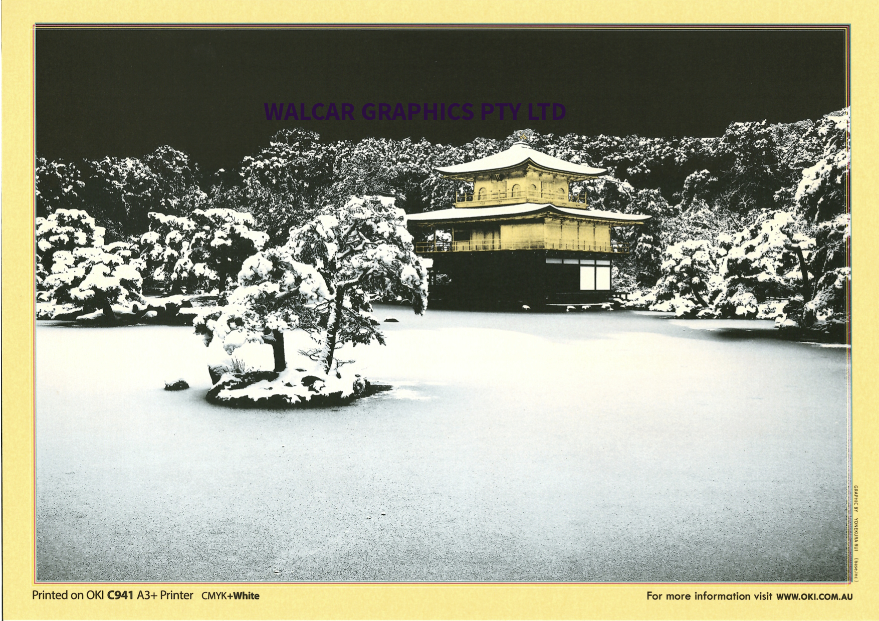 OKI Pro9541 Design Sample.jpeg