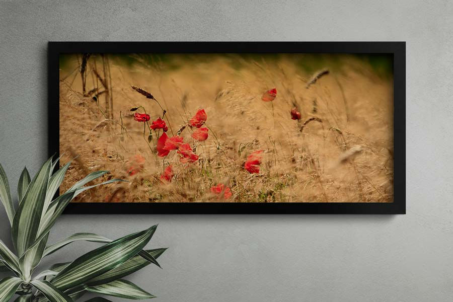 Half wood frame