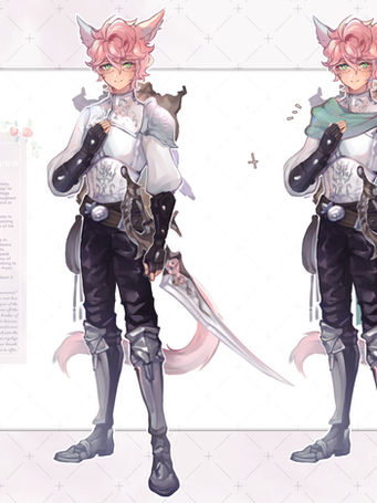 meel sheet.jpg