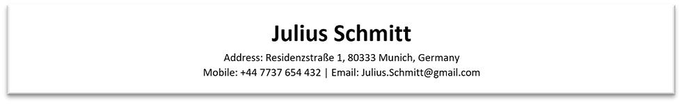 Contact Detail Section of CV