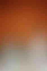 Beautiful wedding moments from Sissel and Rasmus’ day at Mielcke & Hurtigkarl including candid laughs, emotional vows, and special details.