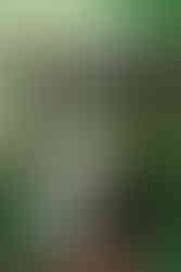 Wedding reception at Kilden i Haven at Tivoli in Copenhagen with relaxed atmosphere