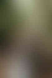 Capturing the love and celebration of Sissel and Rasmus’ wedding at Mielcke & Hurtigkarl, from intimate couple portraits to festive guest moments.