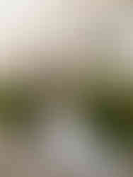 Romantic seaside wedding ceremony with couple exchanging vows by the ocean in Denmark