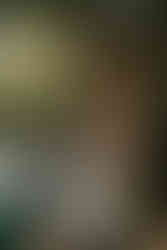 Capturing the love and celebration of Sissel and Rasmus’ wedding at Mielcke & Hurtigkarl, from intimate couple portraits to festive guest moments.