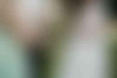 Sissel and Rasmus’ wedding at Mielcke & Hurtigkarl featuring romantic couple portraits, ceremony moments, and joyful celebrations with family and friends.