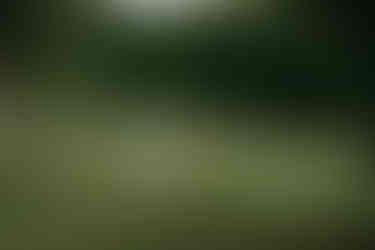 Highlights from Sissel and Rasmus’ Mielcke & Hurtigkarl wedding showcasing ceremony, couple photos, heartfelt emotions, and wedding day details.