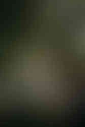 Capturing the love and celebration of Sissel and Rasmus’ wedding at Mielcke & Hurtigkarl, from intimate couple portraits to festive guest moments.