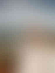 Romantic seaside wedding ceremony with couple exchanging vows by the ocean in Denmark