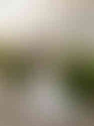 Romantic seaside wedding ceremony with couple exchanging vows by the ocean in Denmark