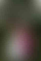 Highlights from Sissel and Rasmus’ Mielcke & Hurtigkarl wedding showcasing ceremony, couple photos, heartfelt emotions, and wedding day details.