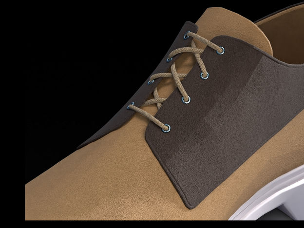 Shoe-Camera.jpg