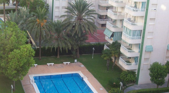 Pisicna