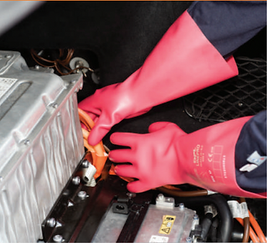 Screen Shot 2025-03-31 at 12.46.29 PM.png