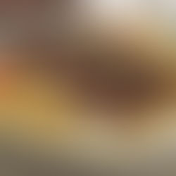 Fraldinha com Manteiga de Ervas