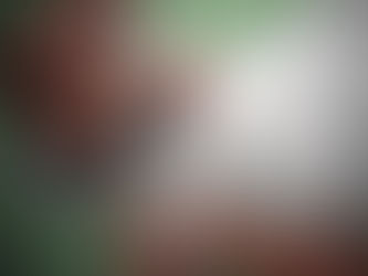 Saúde antecipa vacinação contra gripe no Brasil e campanha começa em março