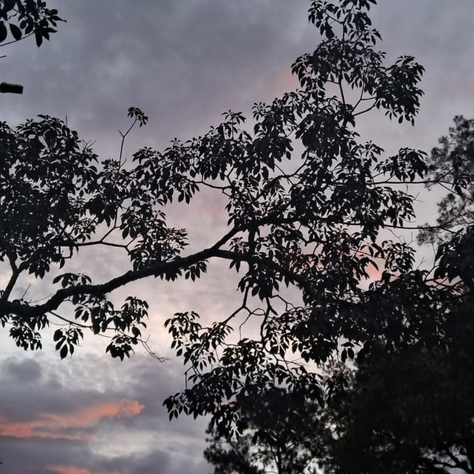 Frente fria traz instabilidade e chuvas para Juiz de Fora e região