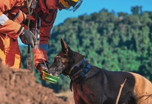 Abertas inscrições para soldado e oficial do Corpo de Bombeiros de MG