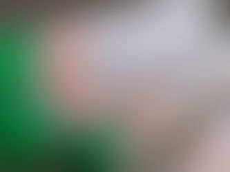 Confirmado primeiro caso de monkeypox em Ubá (MG)