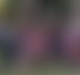 Parque da Lajinha abre inscrições para Colônia de Férias gratuita