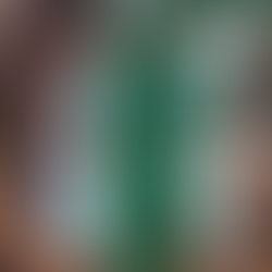 Evento reune animais em busca de um novo lar, em Juiz de Fora