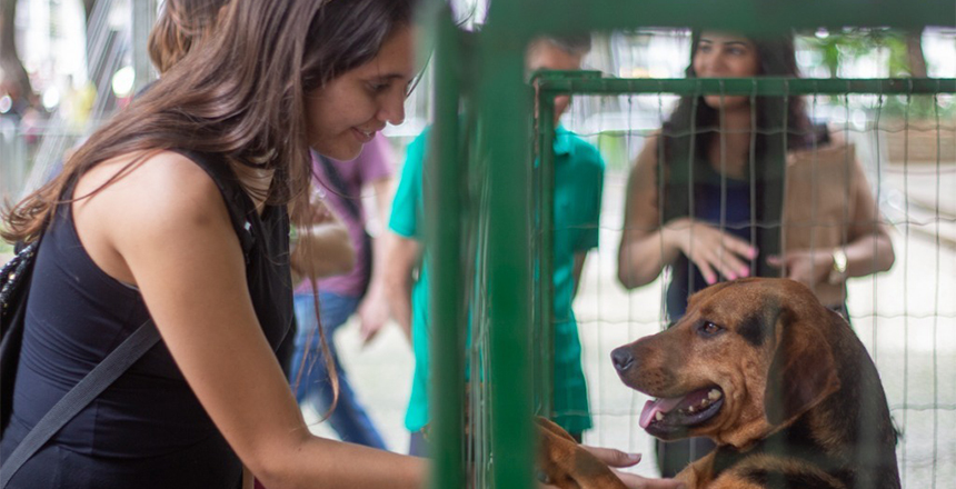 Foto: Divulgação/PJF.