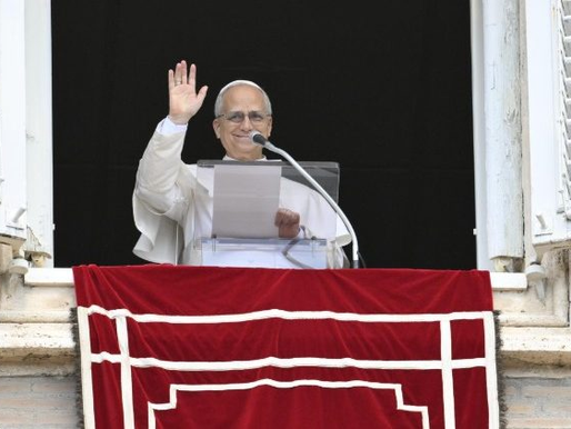 Papa Leão 14: “a porta estreita”, a salvação passa pelas escolhas difíceis e impopulares