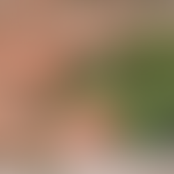 Defesa Civil interdita Estrada Athos Branco da Rosa, no bairro Parque Serra Verde