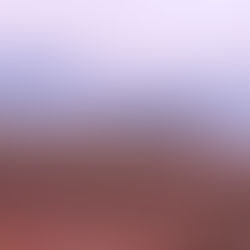 Equipes combatem incêndios florestais na Zona da Mata e Campo das Vertentes