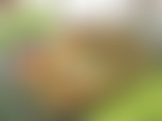 'Bacalhoada de Atum' é a receita do quadro 'Bom Apetite' desta sexta, 07