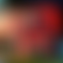 JF será a primeira cidade mineira a receber a Caravana de Natal da Coca-Cola