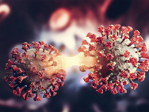 Infectologista fala sobre nova variante da Covid-19 e reforça a importância da vacinação