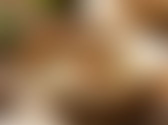 Caldo de Inhame com Calabresa