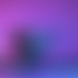 Especialista fala sobre os desafios do letramento digital na alfabetização