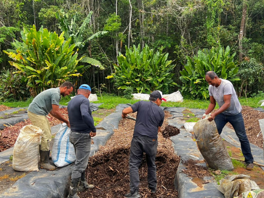 Projeto Terra Boa realiza nova entrega gratuita de composto orgânico em Juiz de Fora