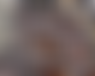 Megaoperação combate quadrilha que movimentou R$ 30 milhões na Zona da Mata em um ano